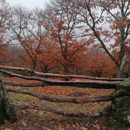 El Nido, Casas del Castañar
