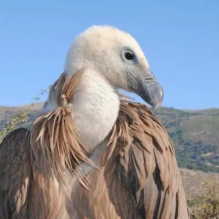 Dom wakacyjny El Nido,