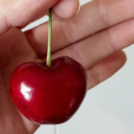 El Nido, Dom wakacyjny