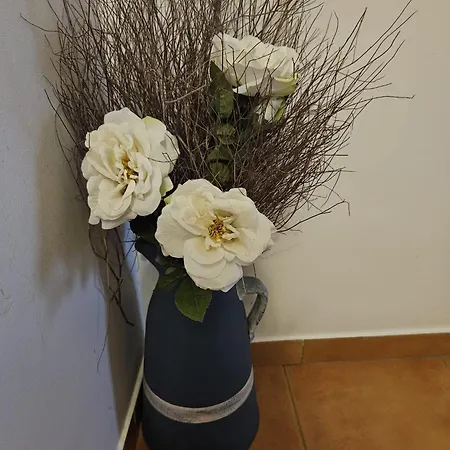 El Nido, * Casas del Castañar