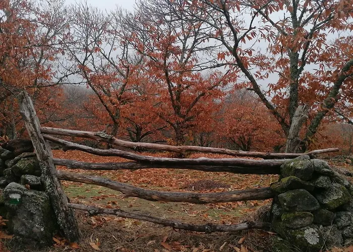 El Nido, Casas del Castanar