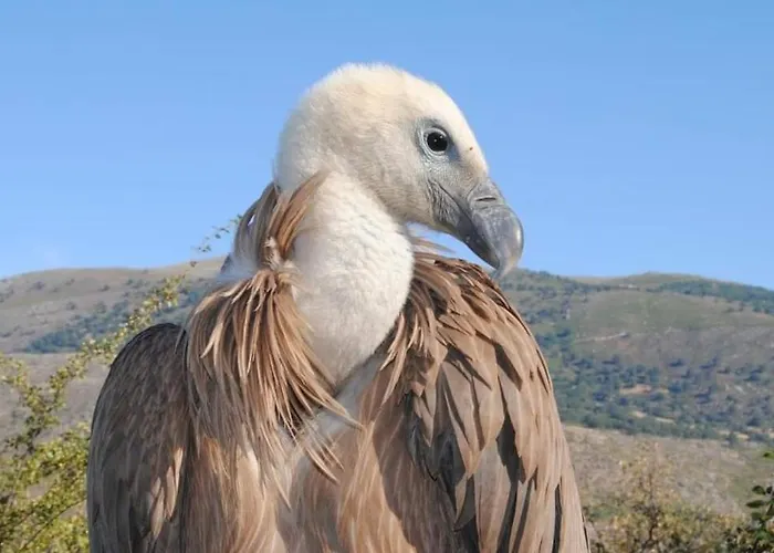 Holiday home El Nido,