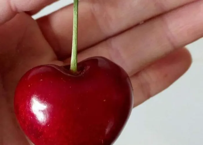 El Nido, Holiday home