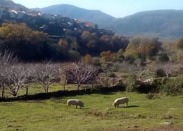 Holiday home El Nido, Casas del Castanar