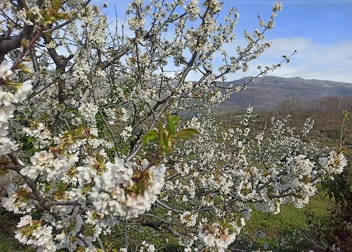 El Nido, * Casas del Castanar